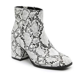 DSW | Shoes | Dsw Snakeskin Benisa 